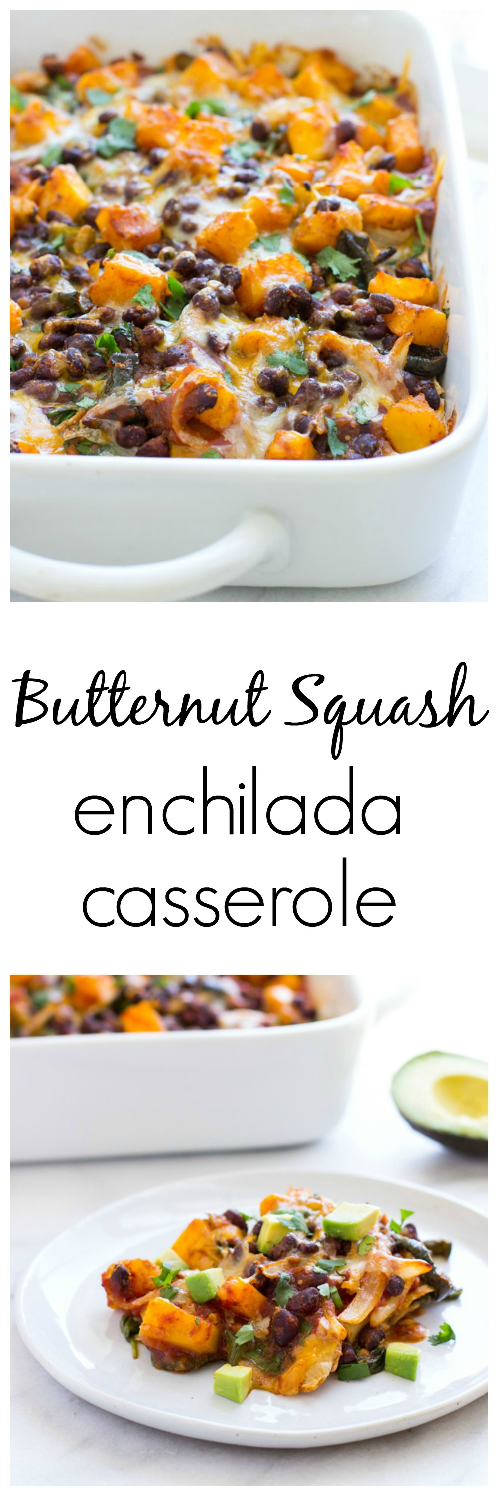 Butternut Squash Enchilada Casserole- a healthy vegetarian meal that everyone will love!