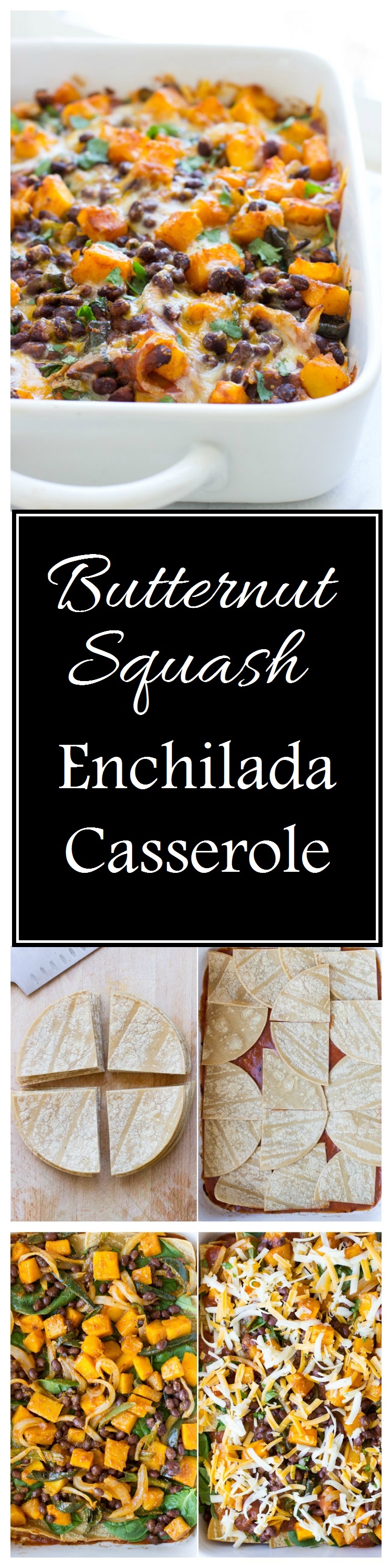 Butternut Squash Enchilada Casserole