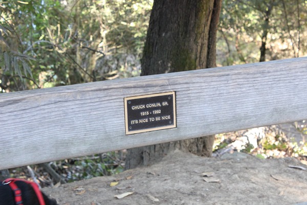 Hiking Redwood Regional Park (49)