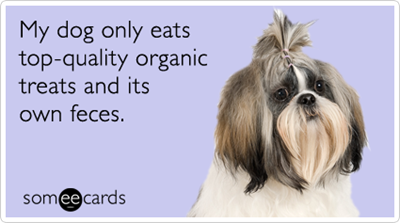 organic-treats-dog-pet-dogs-pets-ecards-someecards
