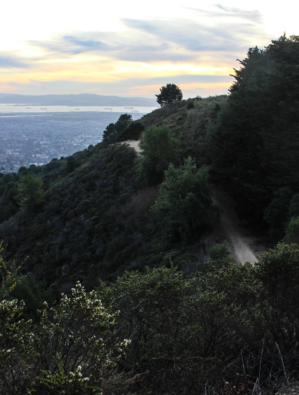 Panoramic Hill Berkeley        
