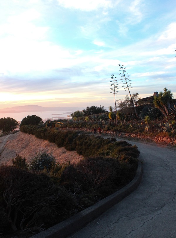 Panoramic Hill Berkeley    
