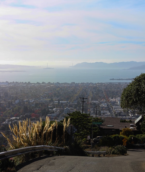 Panoramic Hill Berkeley