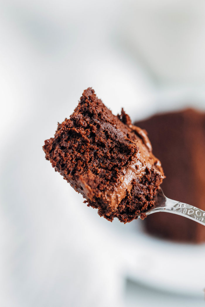 Best-Ever Chocolate Quinoa Cake- super moist with the most incredible texture, this decadent chocolate cake is made easy in a blender. No one would ever guess it's made from cooked quinoa. It's seriously the best! (gluten-free and dairy-free)