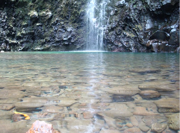 Waterfall Hike 003