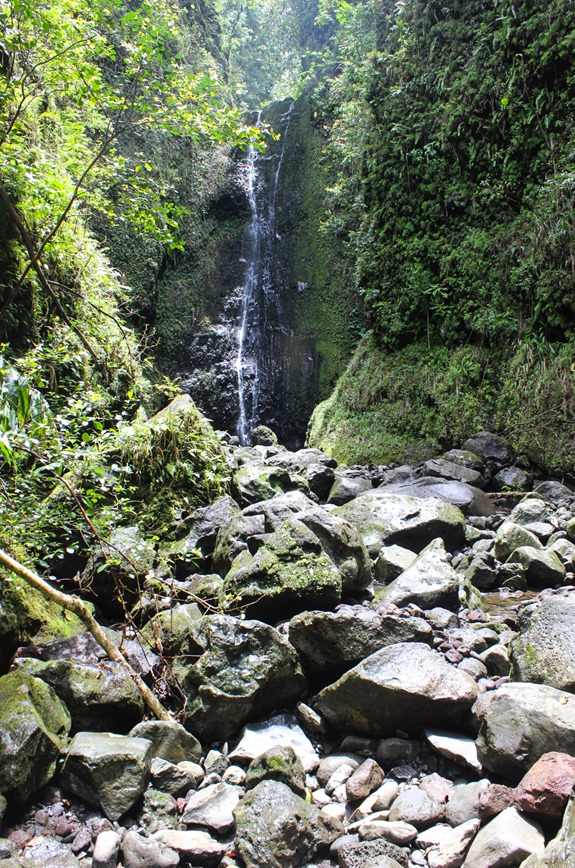 Waterfall Hike 
