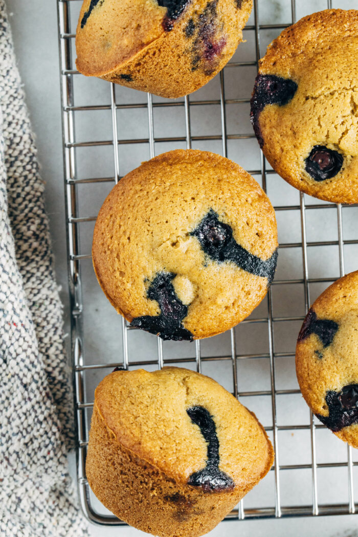 Gluten-free Blueberry Muffins- made with a combination of oat and almond flour, these muffins are nutritious and have the best texture! (dairy-free)