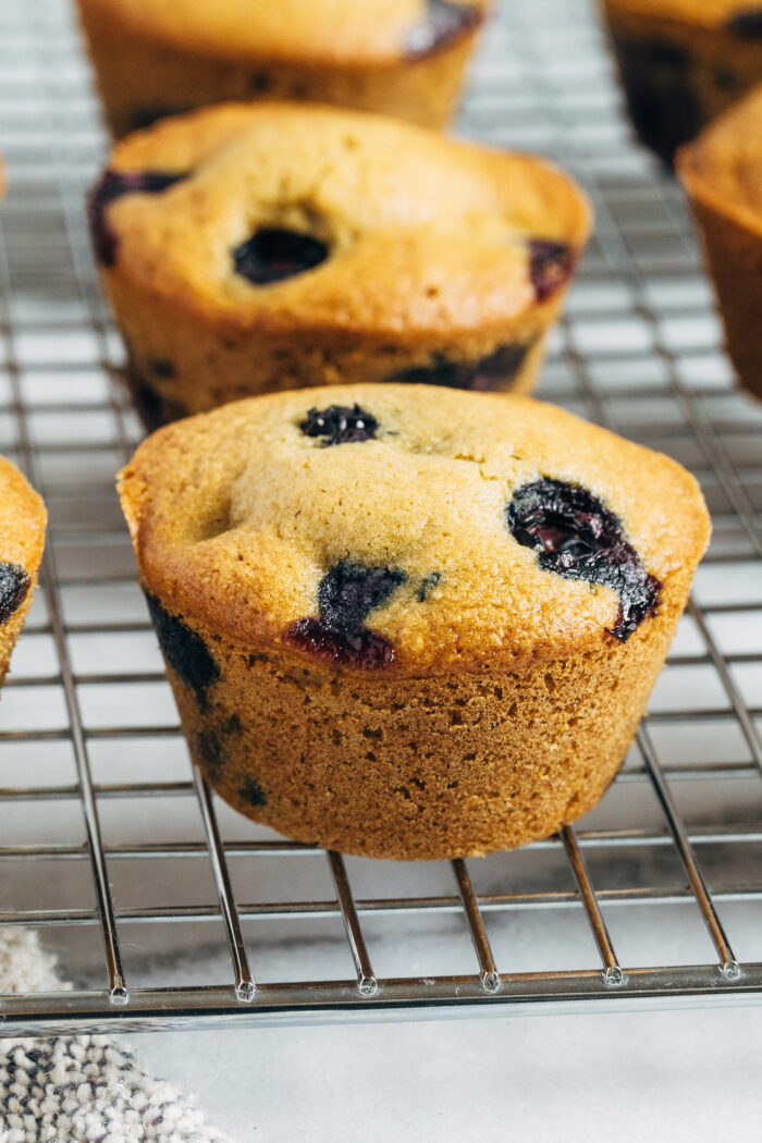 Gluten-free Blueberry Muffins- made with a combination of oat and almond flour, these muffins are nutritious and have the best texture! 