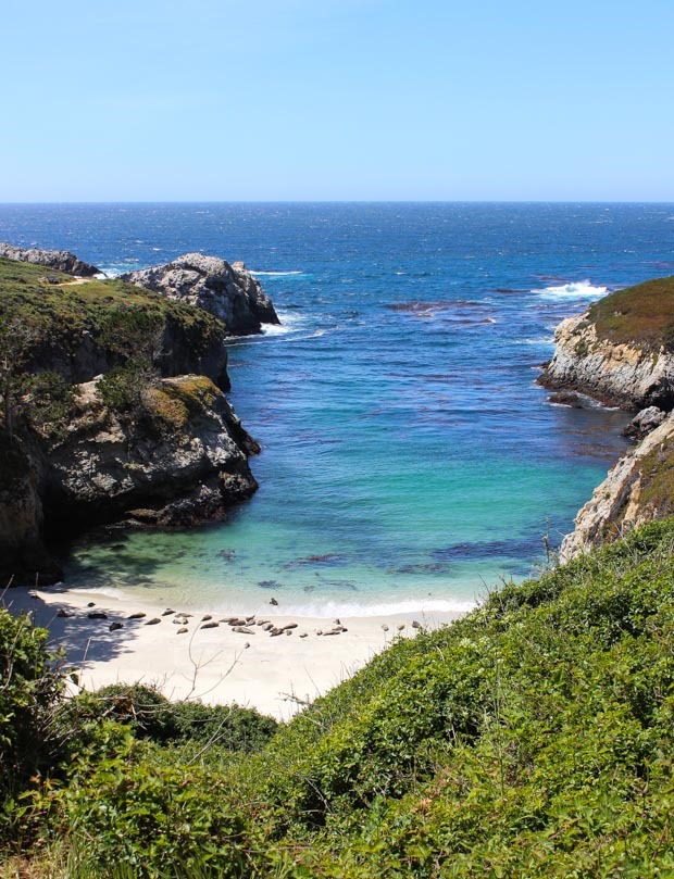 WHERE TO EAT, STAY & PLAY IN CARMEL, CALIFORNIA 