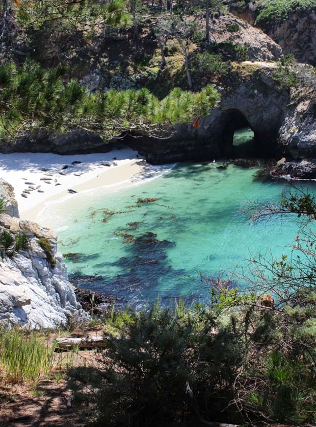 Point Lobos | WHERE TO EAT, STAY & PLAY IN CARMEL, CALIFORNIA 