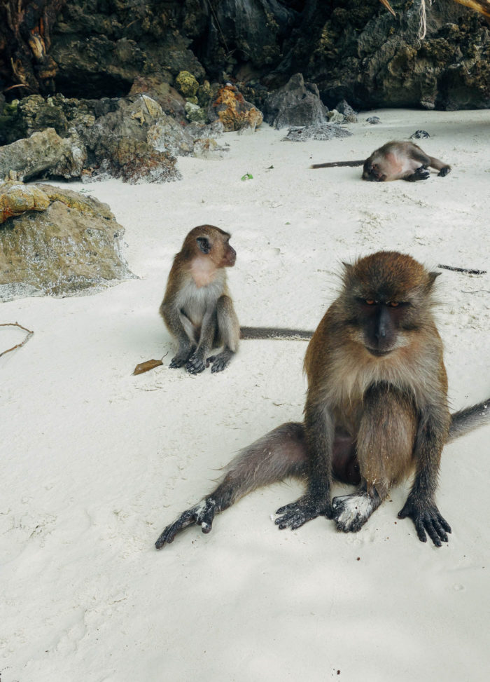 Monkey Beach in Thailand (Phuket Travel Guide)