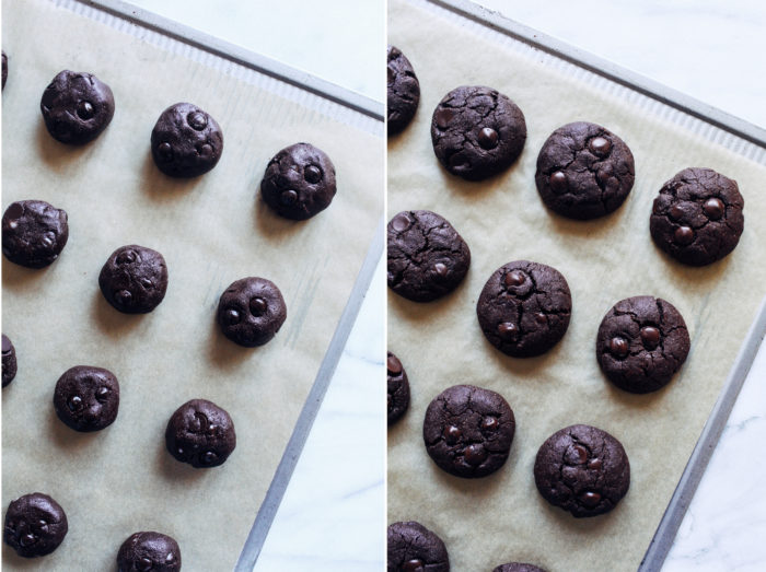 Vegan Gluten-free Double Chocolate Cookies- made with a combination of whole grain oat flour and almond flour, no one would ever guess these chocolatey cookies are made without dairy or wheat!