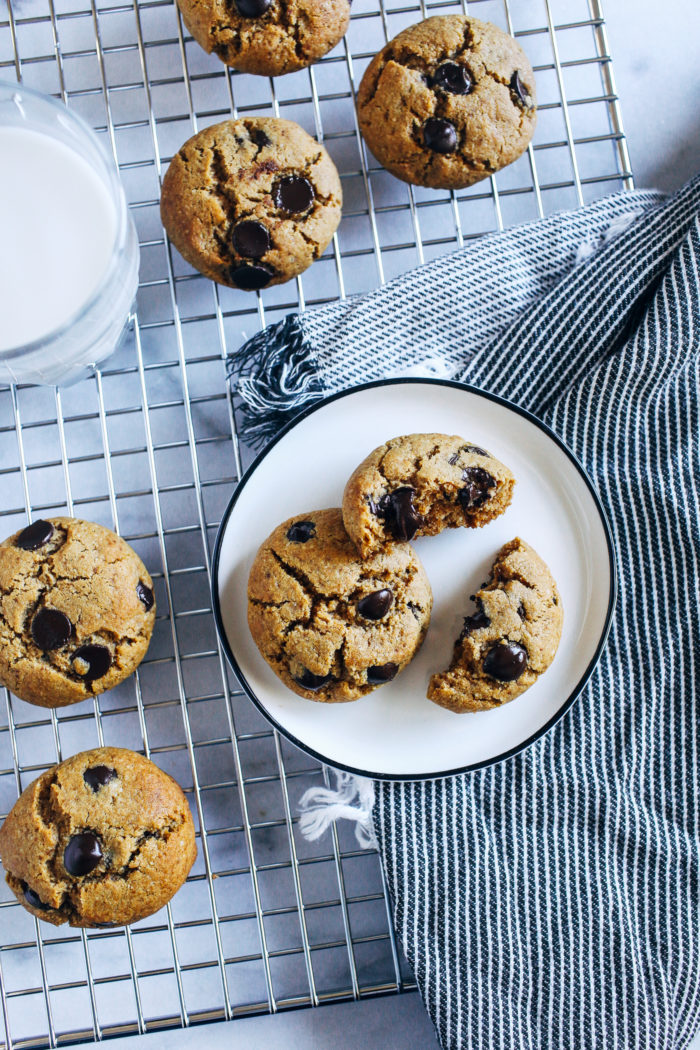 Grain-free Chocolate Chip Cookies- all you need is one bowl and 8 simple ingredients to make these delicious paleo-friendly cookies! 