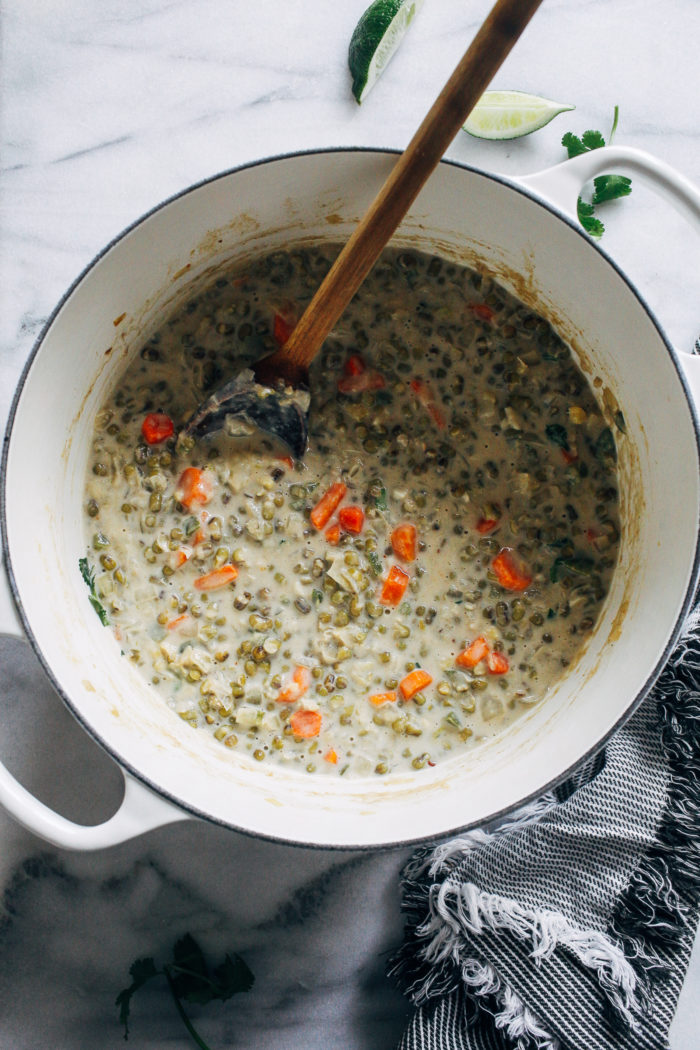 One-Pot Coconut Mung Bean Stew- made with creamy coconut milk, this healthy mung bean stew is simple to make and packed full of comforting flavor. (vegan, gluten-free, grain-free)