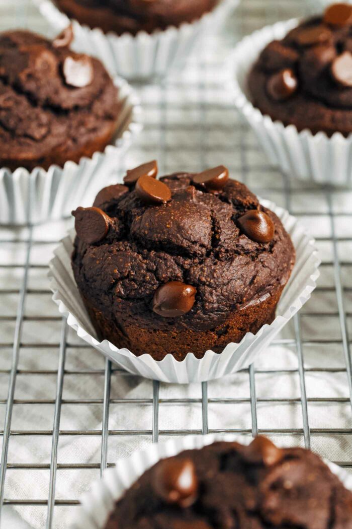Double Chocolate Pumpkin Blender Muffins- made with whole grain oats, these rich and chocolatey muffins come together easy in a blender. They also happen to be vegan, gluten-free and oil-free!