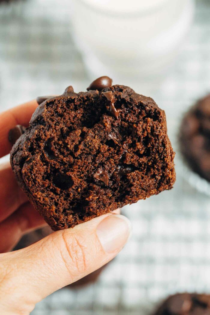 Double Chocolate Pumpkin Blender Muffins- made with whole grain oats, these rich and chocolatey muffins come together easy in a blender. Each muffin packs 7 grams of protein and 3 mg of iron! (vegan, gluten-free and oil-free)