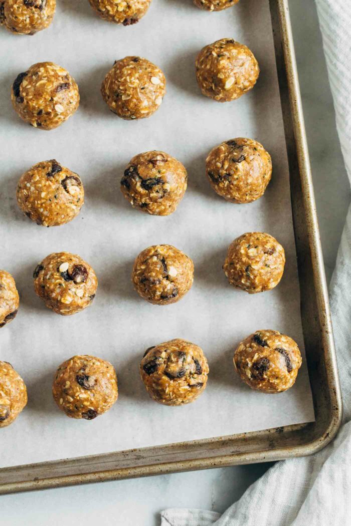 Oatmeal Cookie Protein Energy Bites