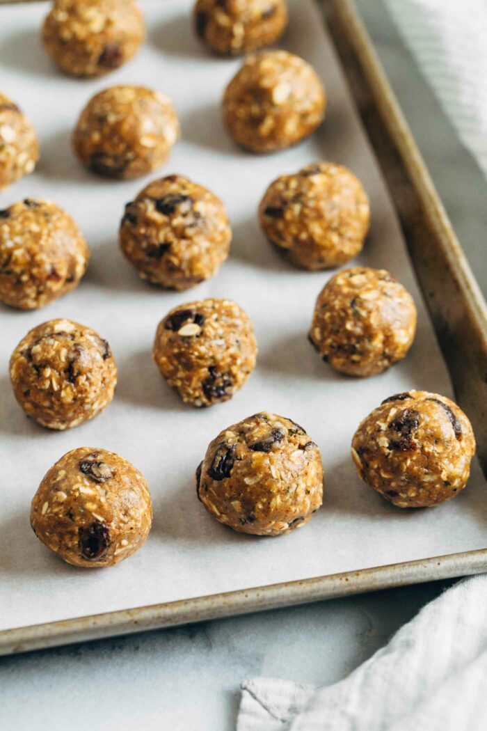Oatmeal Cookie Protein Energy Bites