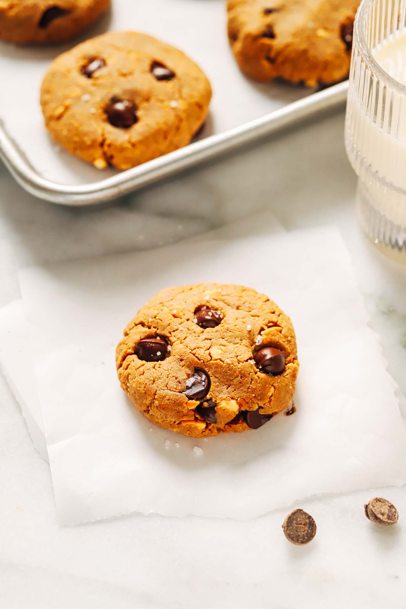 Chocolate Chip Protein Cookies