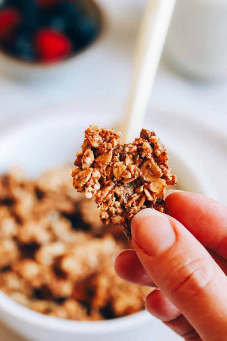 Made in one-bowl with simple pantry ingredients, each serving of this granola packs 7 grams of protein! (vegan + gluten-free)